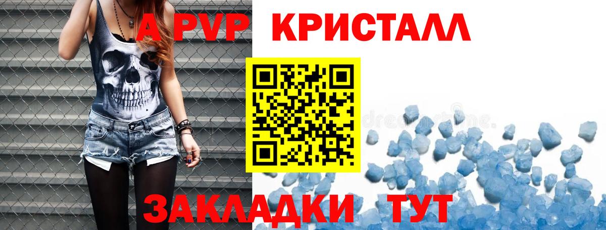 Альфа ПВП СК КРИС Елизово