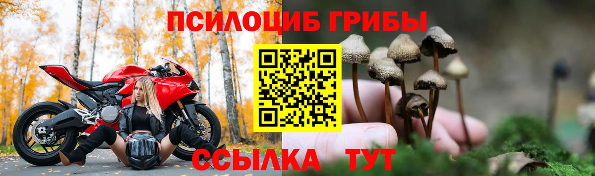 Елизово  Псилоцибиновые грибы прущие грибы  Вход с VPN 