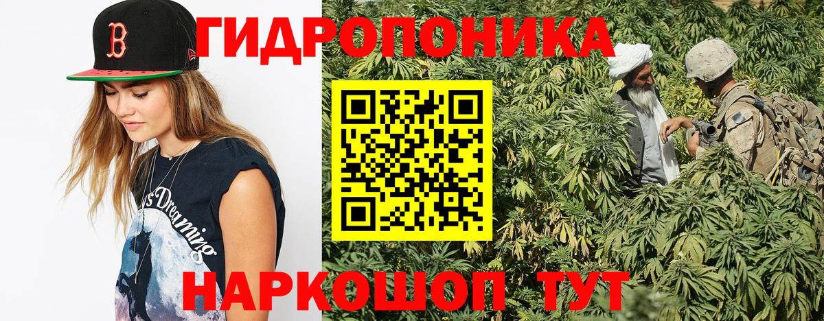 Шишки марихуана индика Елизово